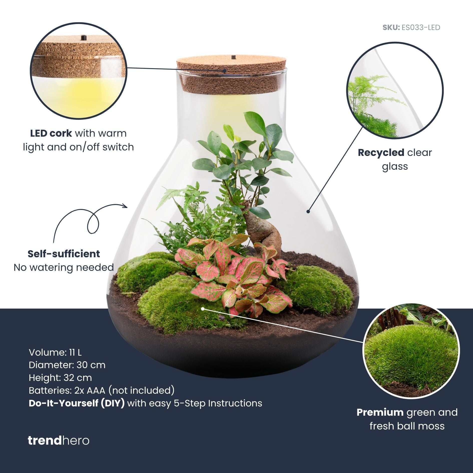 Sam XL Bonsai - Terrarium with light - Bottle garden DIY kit - Ø 30 cm ↑ 32 cm