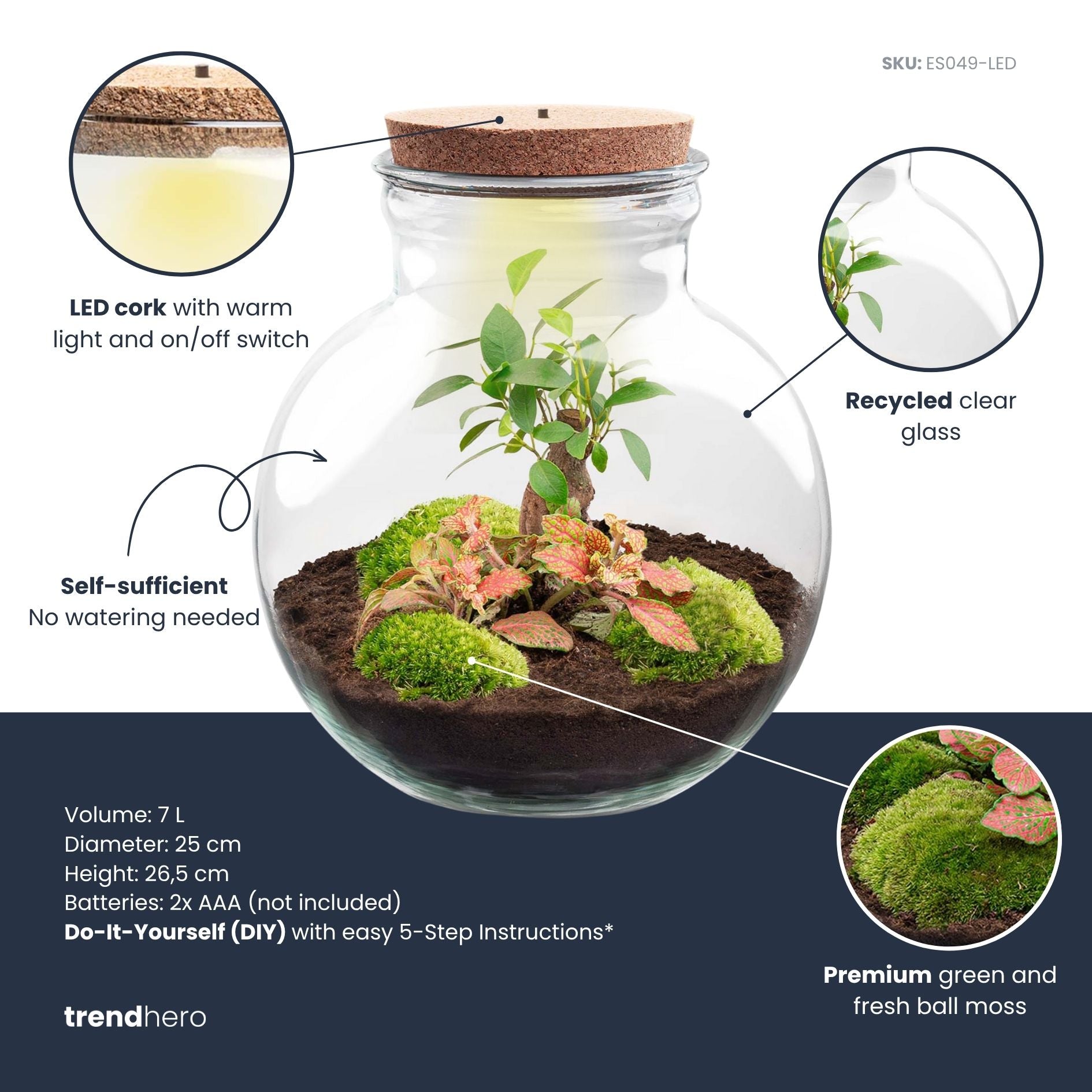 Teddy Bonsai - Terrarium with light - Bottle garden DIY kit - Ø 25 cm ↑ 26,5 cm