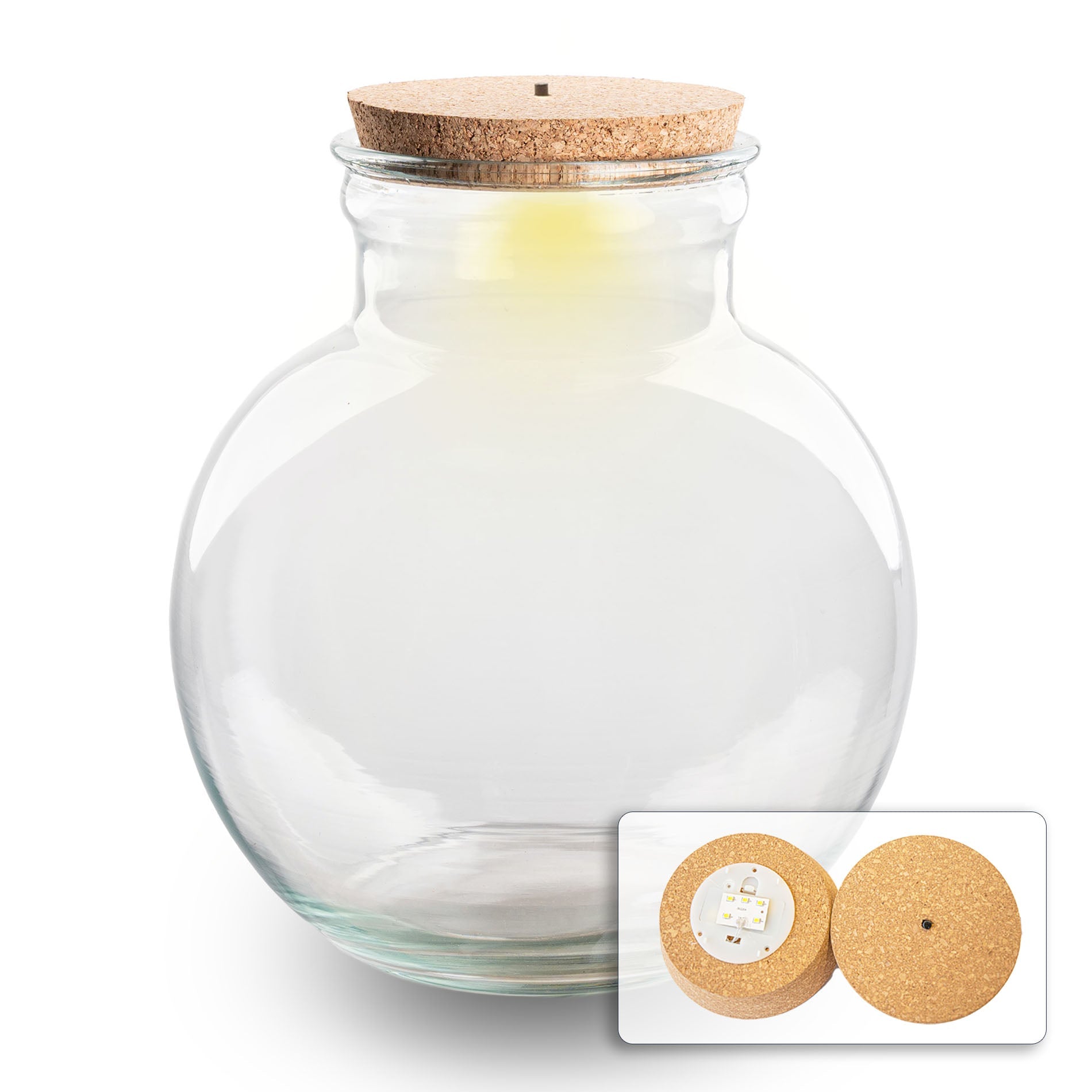 Terrarium bottle 'Teddy' - Incl. (LED) cork - Closed terrarium Ø 25 cm ↑ 26.5 cm