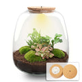 Emma - Terrarium with light - Bottle garden DIY kit - Ø 23 cm ↑ 25 cm