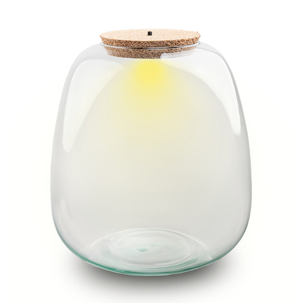 Terrarium bottle ‘Emma' - Incl. LED cork - Closed terrarium Ø 23 cm ↑ 25 cm