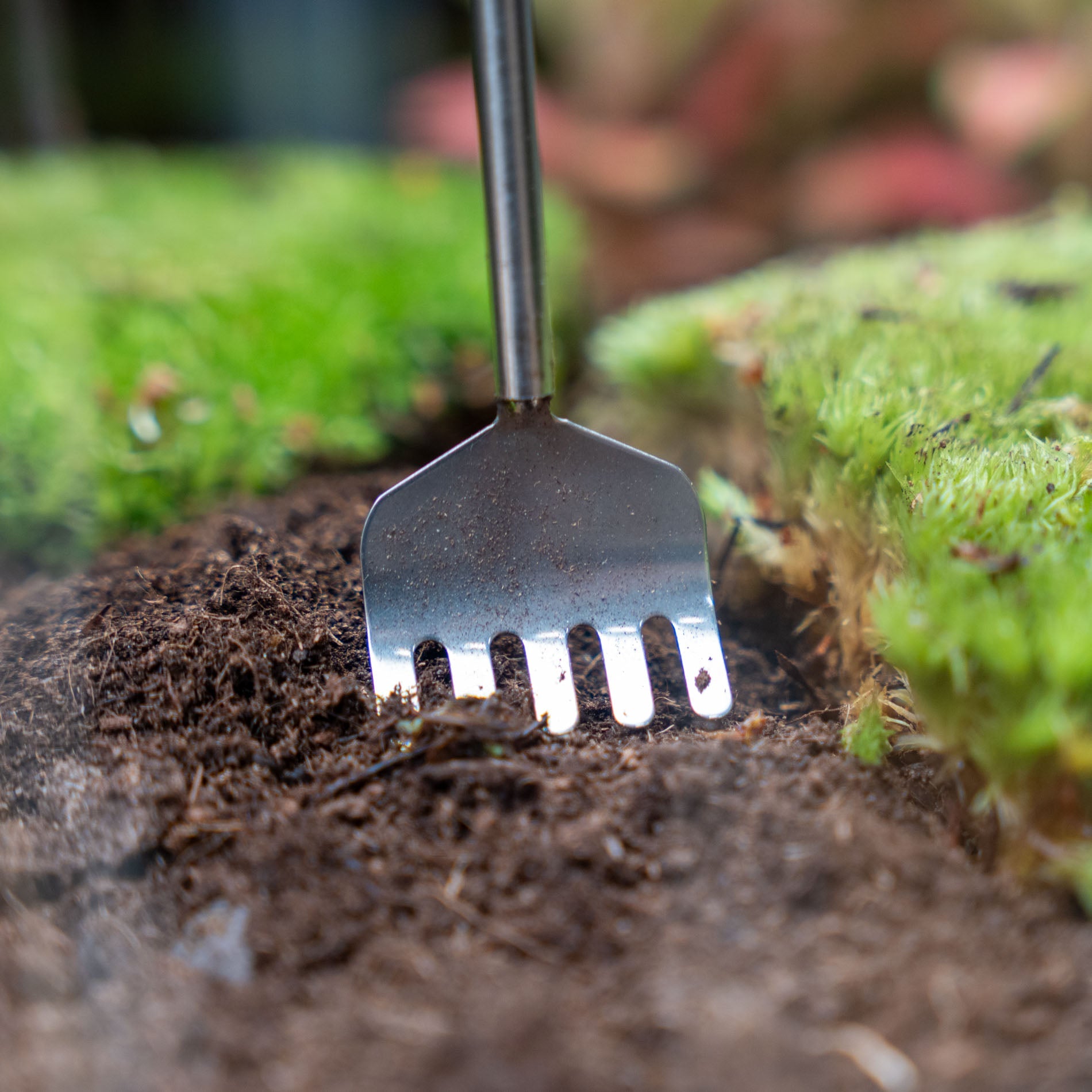 Telescopic Terrarium Rake – Stainless Steel Precision Tool 16/49cm