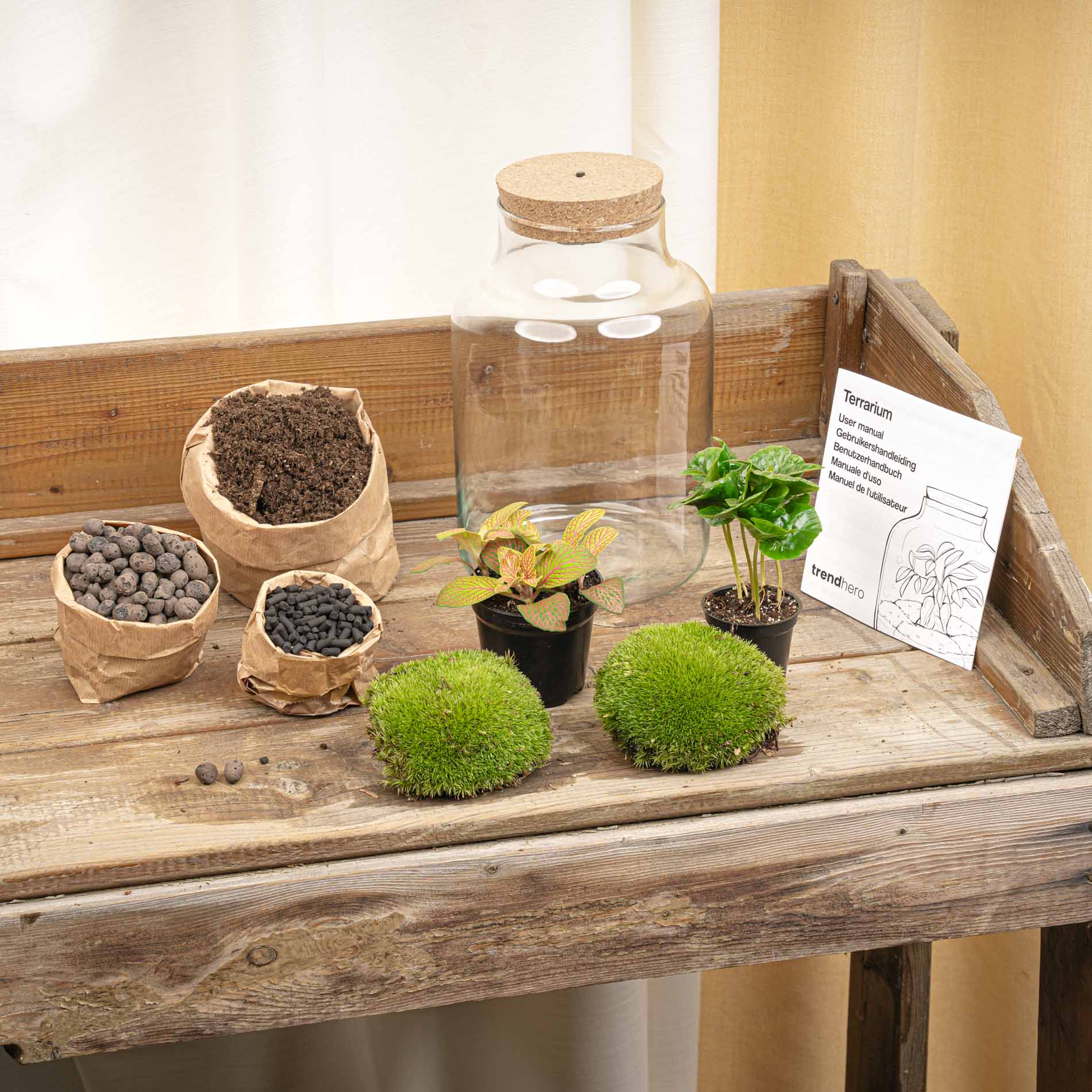 Little Milky - Terrarium with light - Bottle garden DIY kit - Ø 17 cm ↑ 25 cm