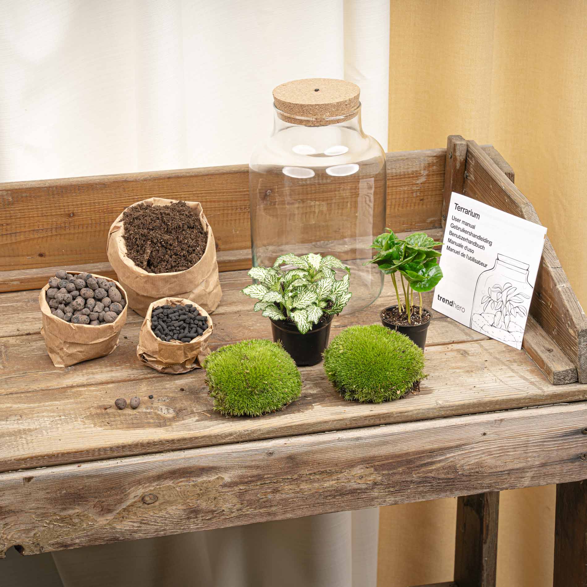Little Milky - Terrarium with light - Bottle garden DIY kit - Ø 17 cm ↑ 25 cm