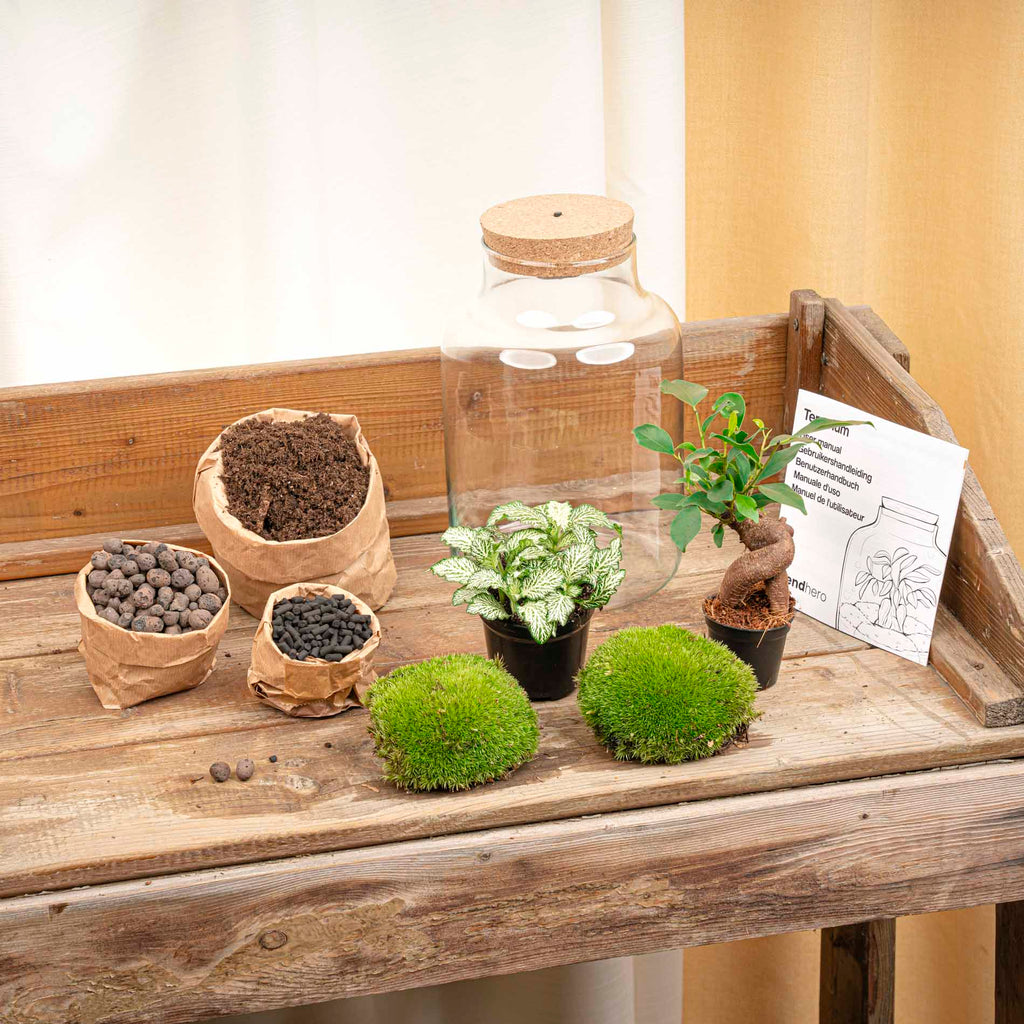 Little Milky - Terrarium with light - Bottle garden DIY kit - Ø 17 cm ↑ 25 cm