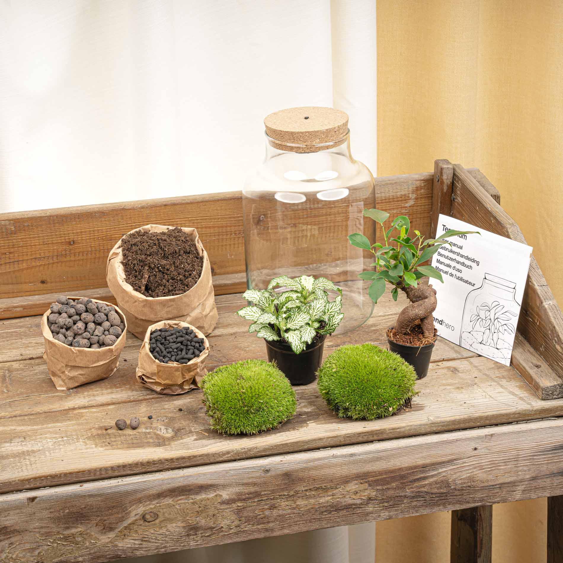 Little Milky - Terrarium with light - Bottle garden DIY kit - Ø 17 cm ↑ 25 cm