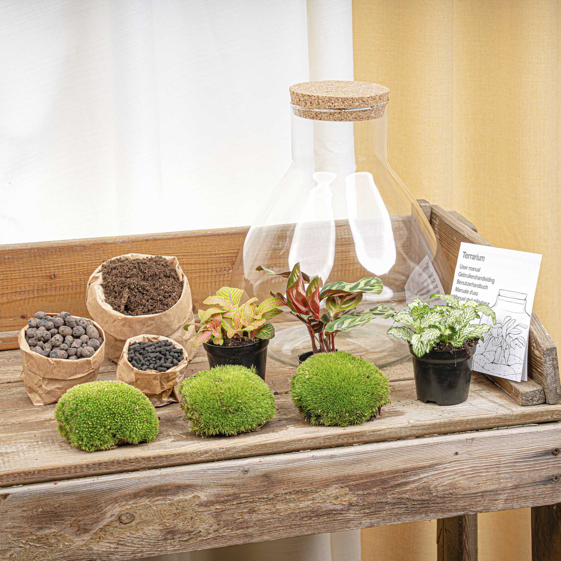 Sam XL Red - Terrarium with light - Bottle garden DIY kit - Ø 30 cm ↑ 32 cm