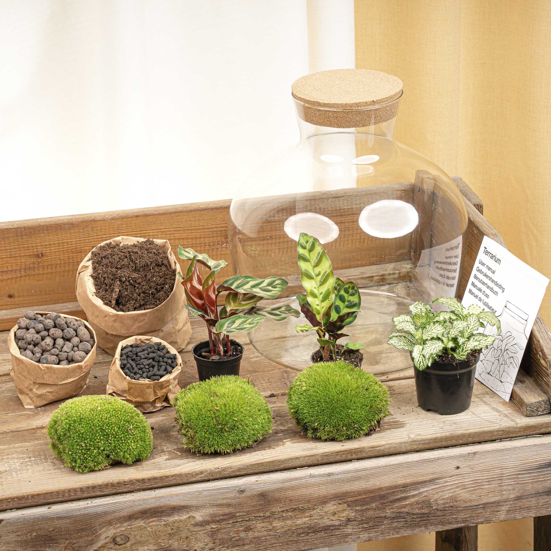 Fat Joe - Terrarium with light - Bottle garden DIY kit - Ø 29 cm ↑ 30 cm