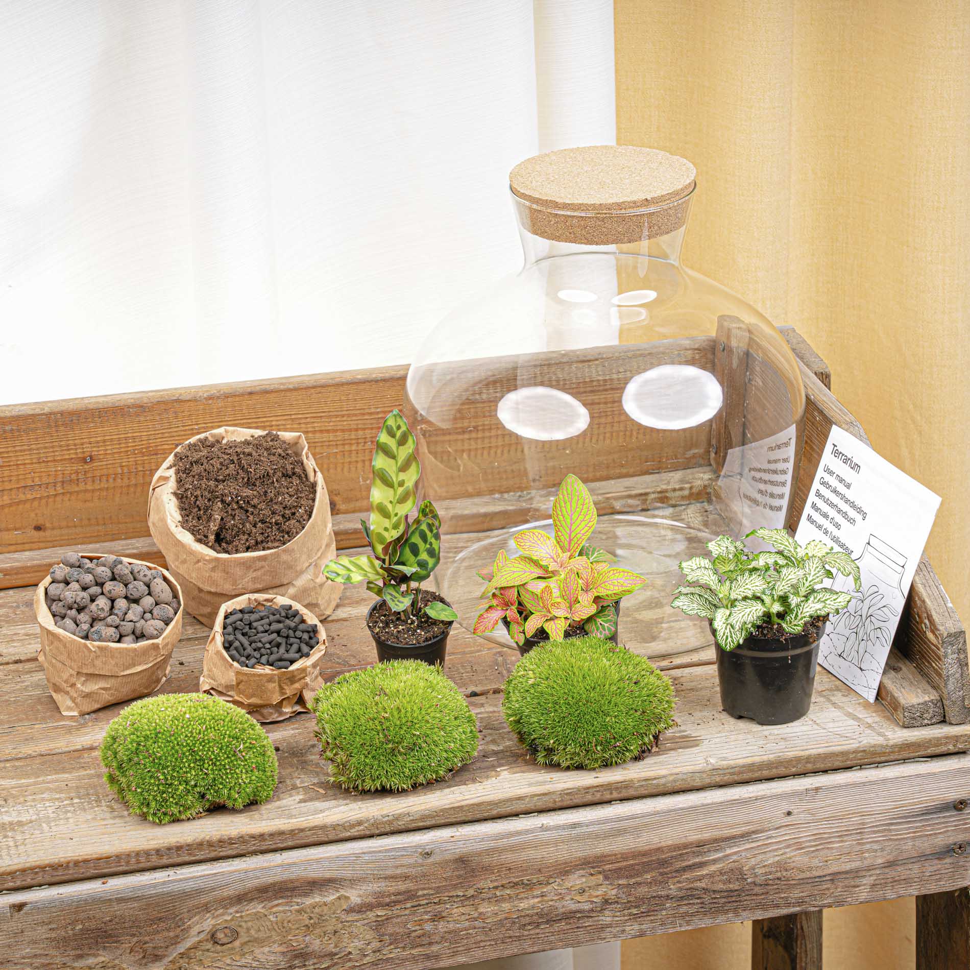 Fat Joe Red - Terrarium with light - Bottle garden DIY kit - Ø 29 cm ↑ 30 cm