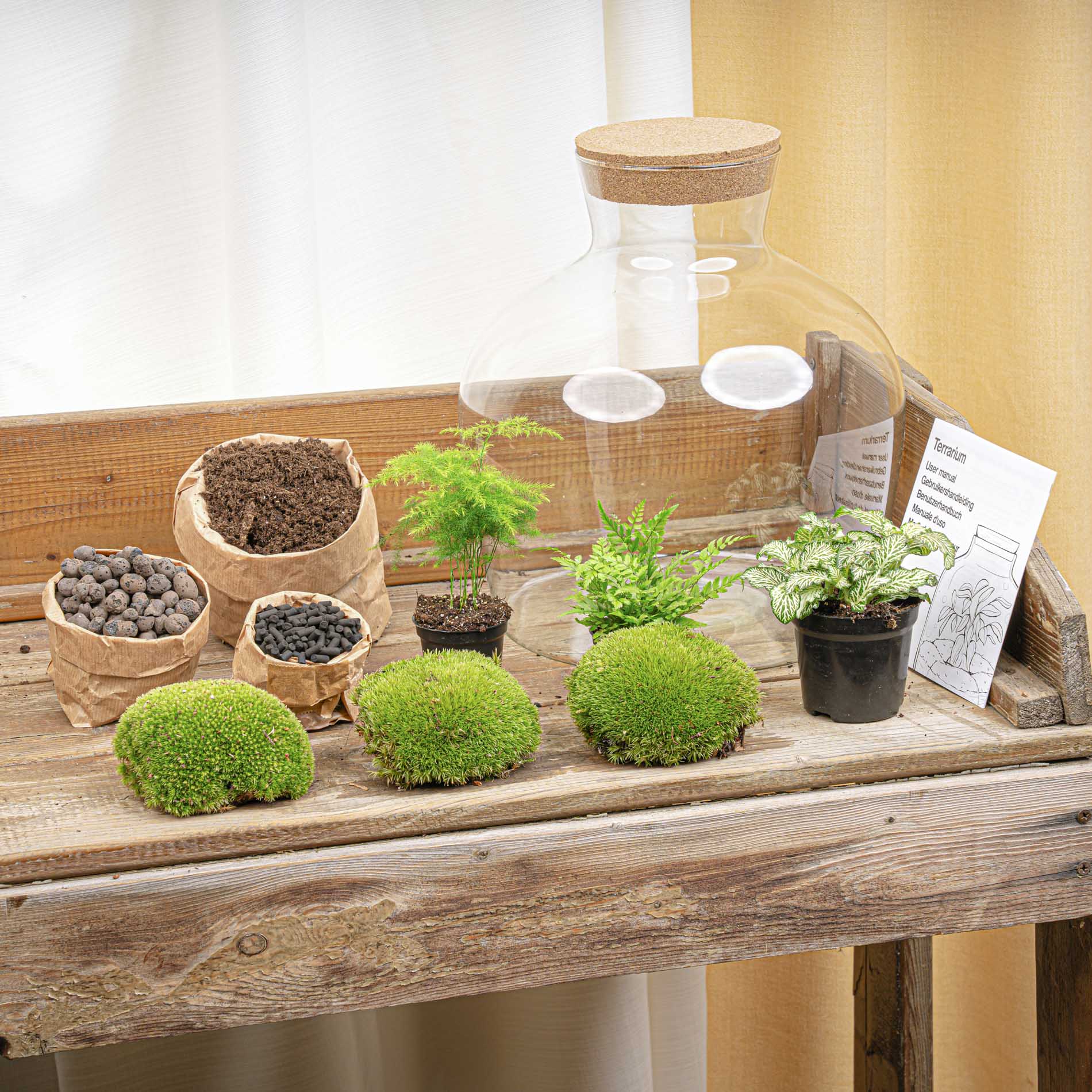 Fat Joe Green - Terrarium with light - Bottle garden DIY kit - Ø 29 cm ↑ 30 cm