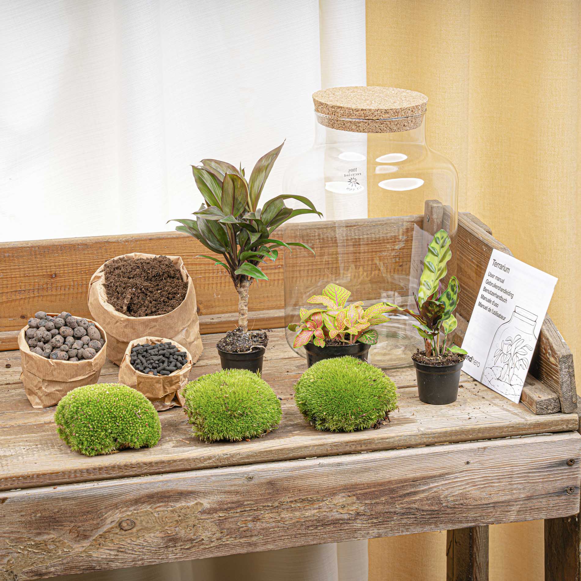 Milky Palm - Terrarium with light - Bottle garden DIY kit - Ø 21 cm ↑ 30 cm