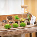 Milky - Terrarium with light - Bottle garden DIY kit - Ø 21 cm ↑ 30 cm