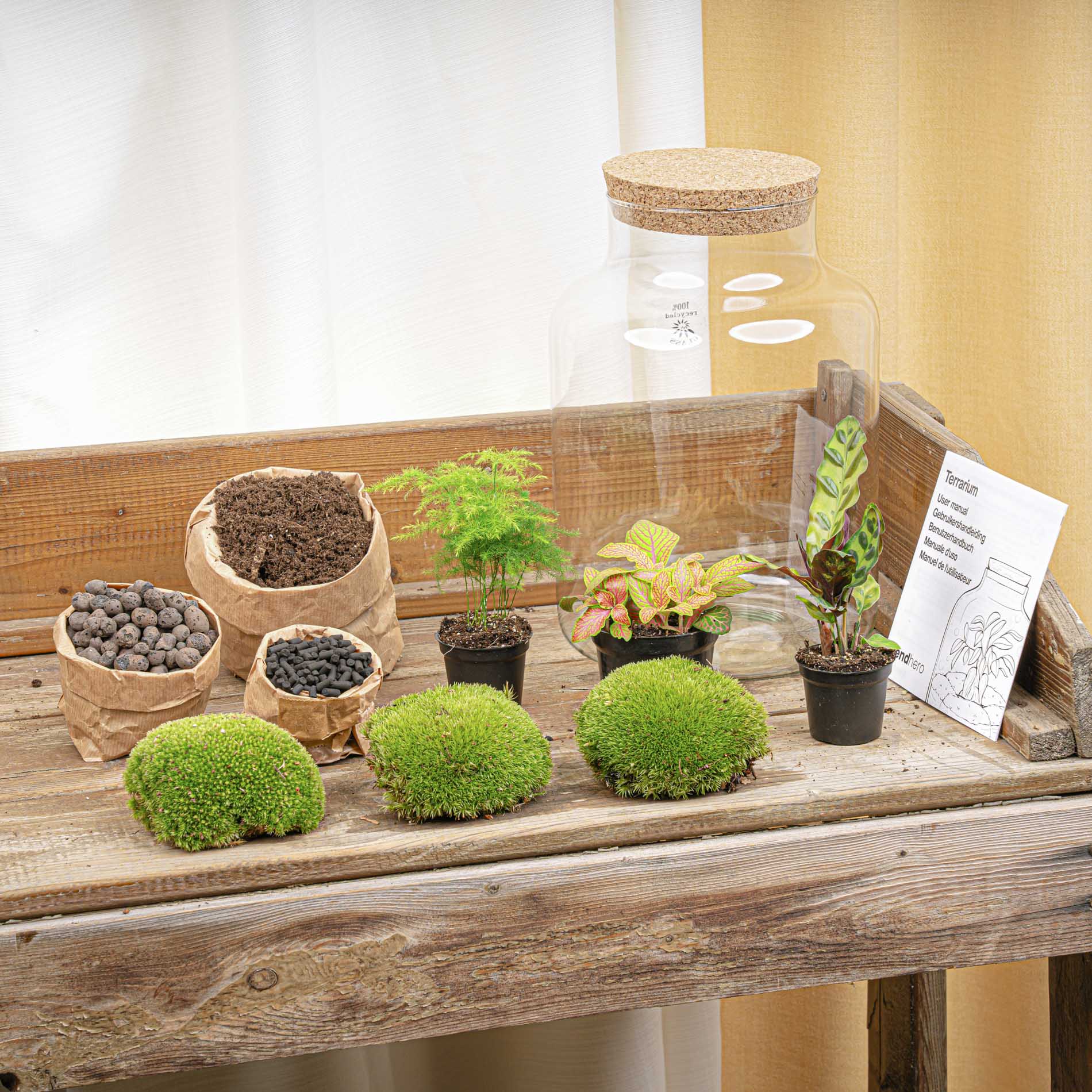 Milky - Terrarium with light - Bottle garden DIY kit - Ø 21 cm ↑ 30 cm