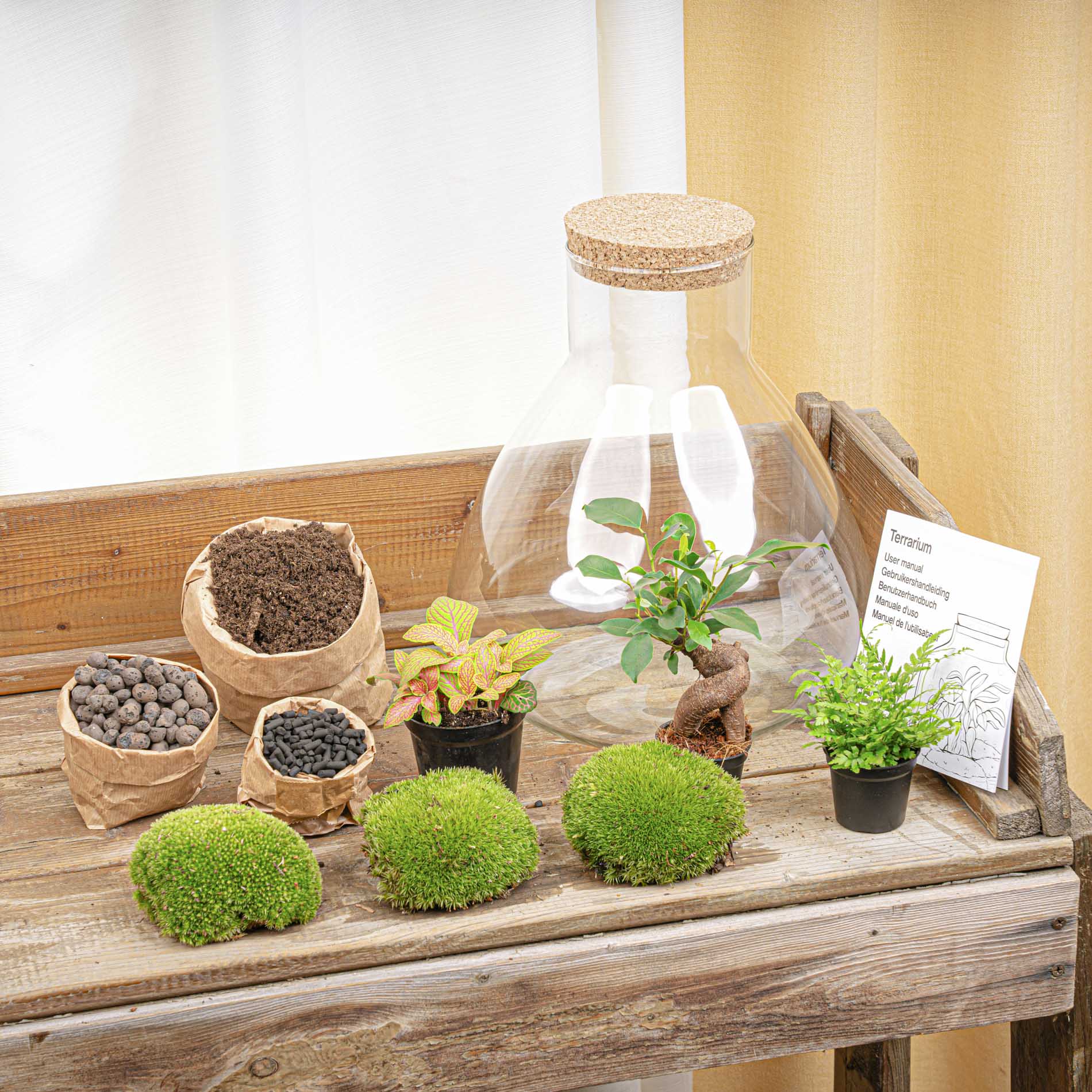 Sam XL Bonsai - Terrarium with light - Bottle garden DIY kit - Ø 30 cm ↑ 32 cm