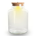 Terrarium bottle 'Little Milky' - Incl. LED cork - Closed terrarium Ø 17 cm ↑ 25 cm