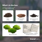Terrarium Package  – Refill & Starter Package  – DIY Terrarium Kit – Size L/XL