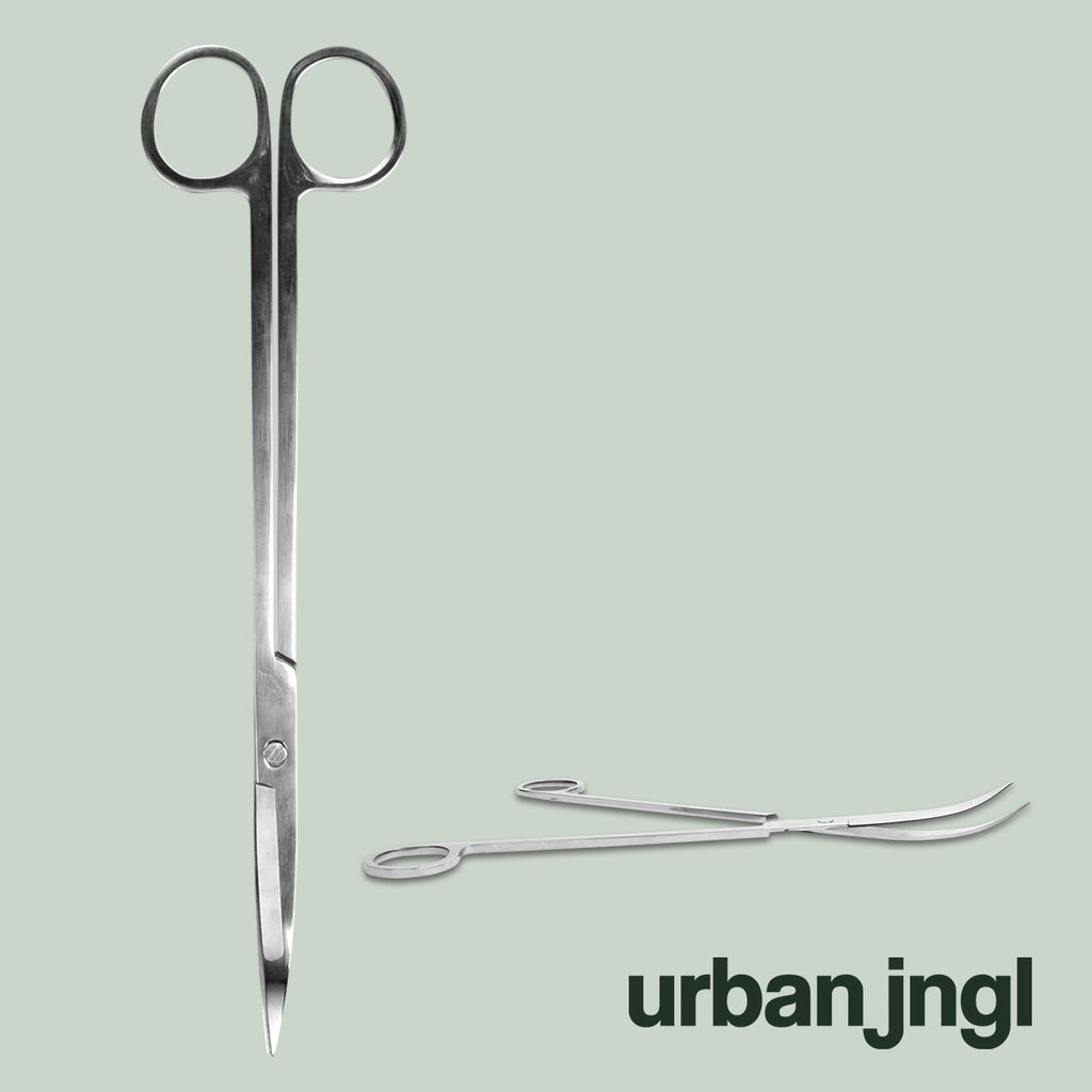 Terrarium Scissors 25 cm – Extra Long Curved Stainless Steel Tool