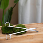 Terrarium Scissors 25 cm – Extra Long Curved Stainless Steel Tool