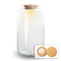 Terrarium bottle 'Sven XL' - Incl. LED cork - Closed terrarium Ø 23 cm ↑ 43 cm