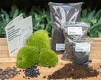 Terrarium Package  – Refill & Starter Package  – DIY Terrarium Kit – Size L/XL