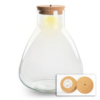 Terrarium bottle 'Sam' - Incl. LED cork - Closed terrarium Ø 24.5 cm ↑ 30 cm