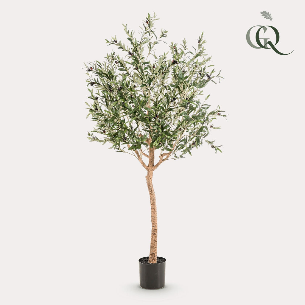 Artificial Olive Tree (Olea Europaea) - 180cm