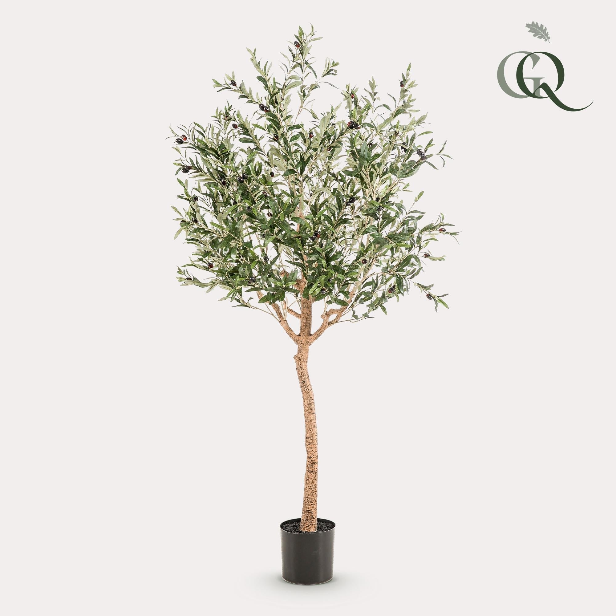 Artificial Olive Tree (Olea Europaea) - 180cm