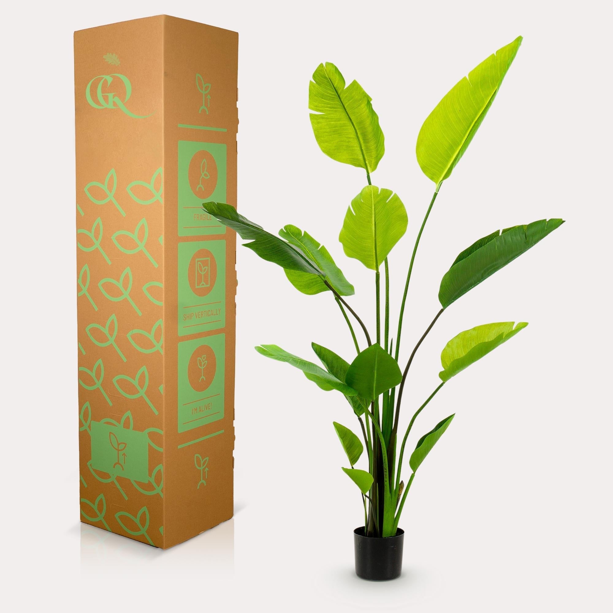 Artificial Strelitzia Nicolai (Bird of Paradise) - 150cm