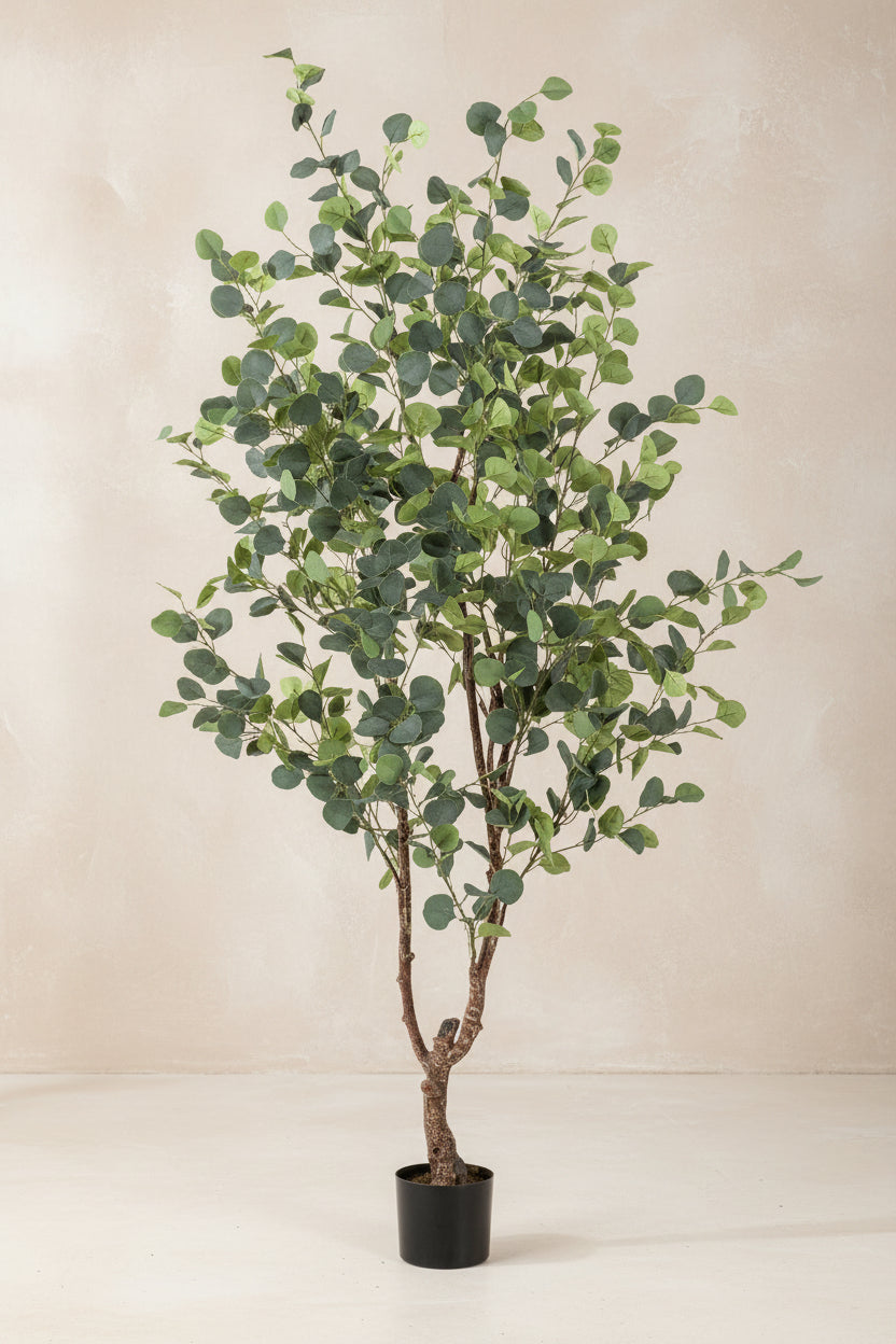 Artificial Eucalyptus Tree (Blue Gum)  - 180cm