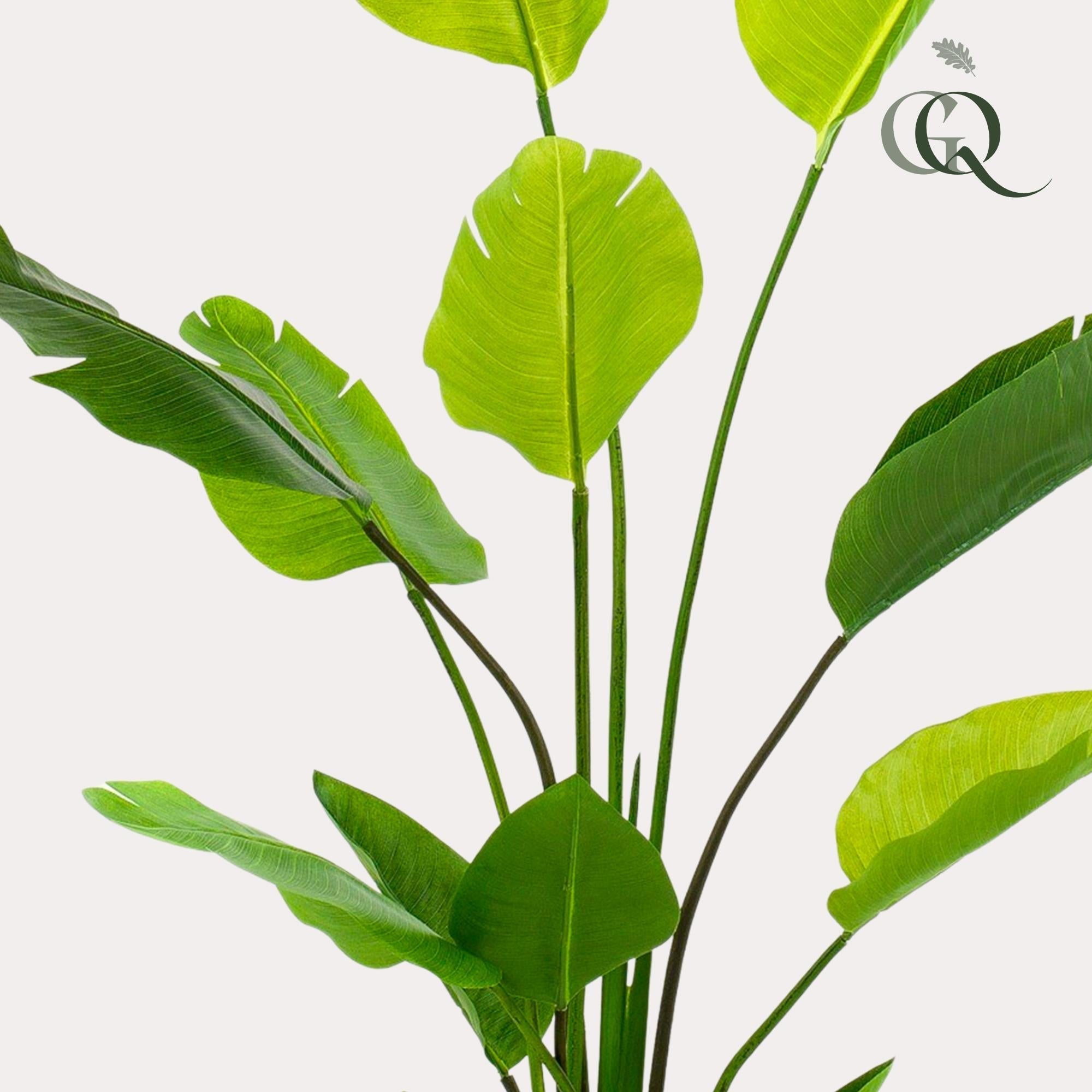 Artificial Strelitzia Nicolai (Bird of Paradise) - 150cm