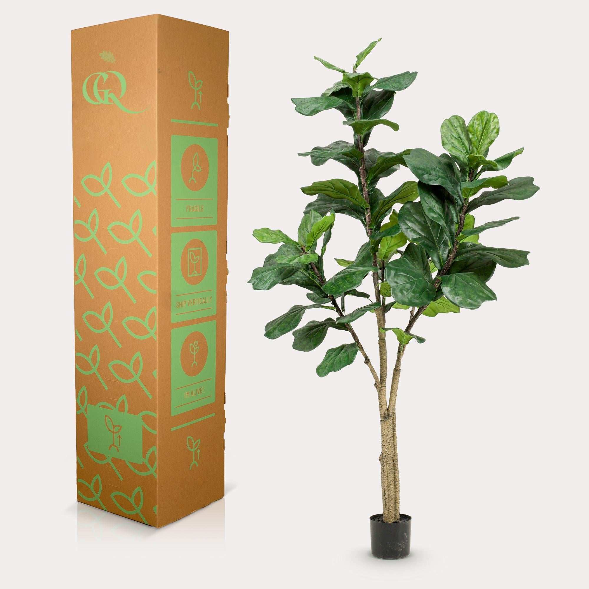 Artificial Ficus Lyrata (Tobacco Plant) - 180cm