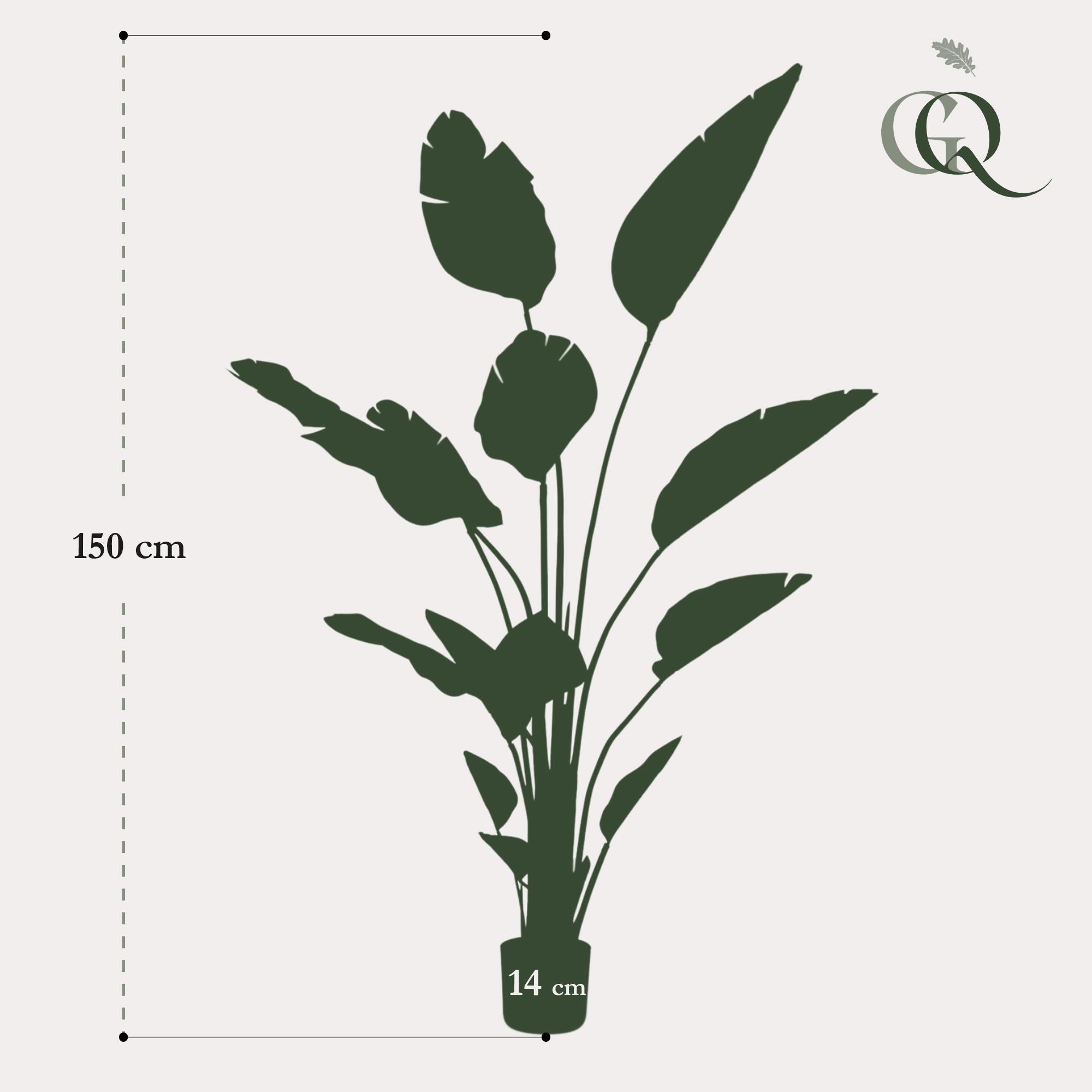Artificial Strelitzia Nicolai (Bird of Paradise) - 150cm