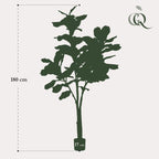Artificial Ficus Lyrata (Tobacco Plant) - 180cm