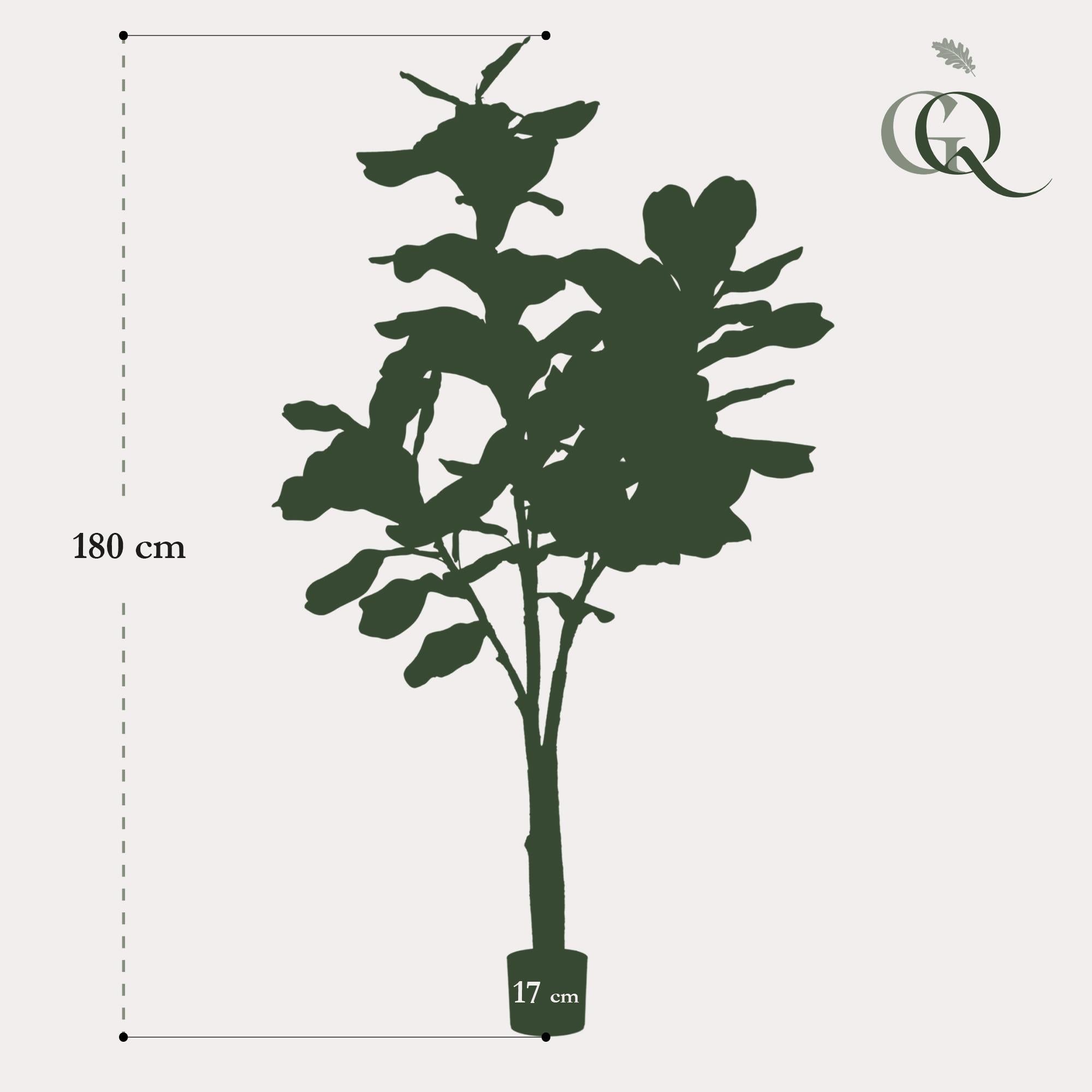 Artificial Ficus Lyrata (Tobacco Plant) - 180cm