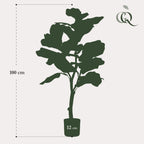 Artificial Ficus Lyrata (Tobacco Plant / Fiddle Leaf Fig) - 90cm