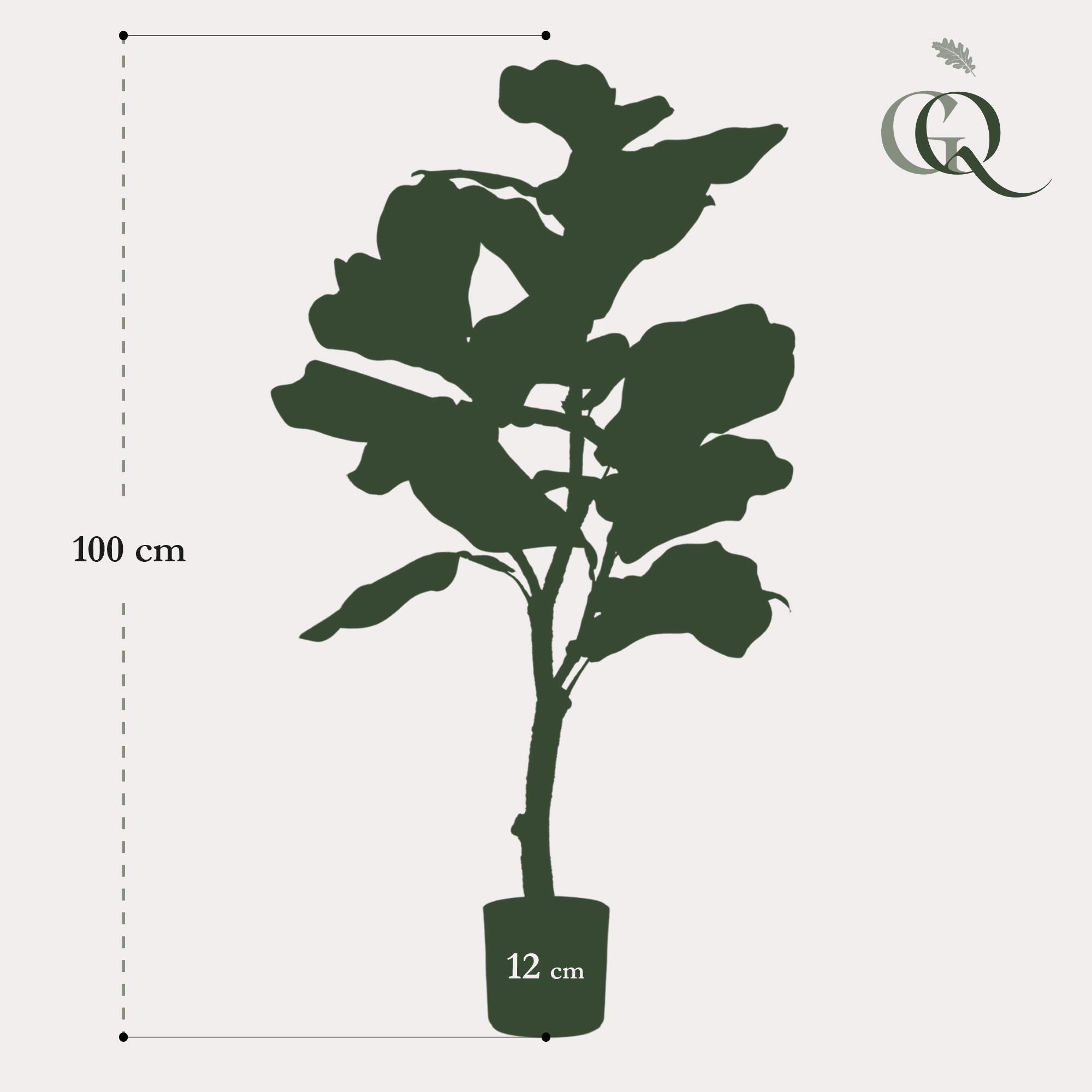 Artificial Ficus Lyrata (Tobacco Plant / Fiddle Leaf Fig) - 90cm
