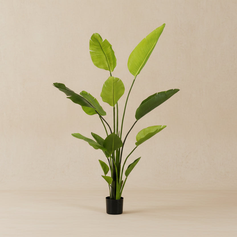 Artificial Strelitzia Nicolai (Bird of Paradise) - 150cm