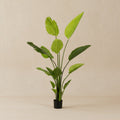 Artificial Strelitzia Nicolai (Bird of Paradise) - 150cm