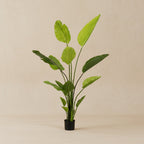 Artificial Strelitzia Nicolai (Bird of Paradise) - 150cm
