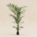 Artificial Kentia Palm - 210cm