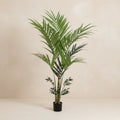 Artificial Kentia Palm  - 180cm