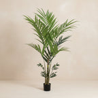 Artificial Kentia Palm  - 180cm