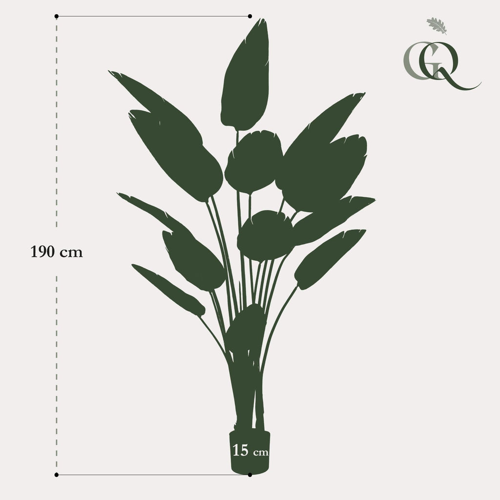 Artificial Strelitzia Nicolai (Bird of Paradise) - 190cm