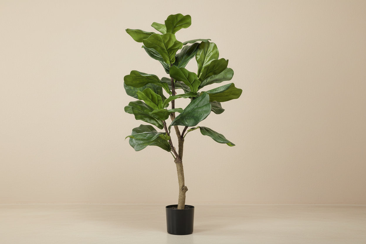 Artificial Ficus Lyrata (Tobacco Plant / Fiddle Leaf Fig) - 90cm