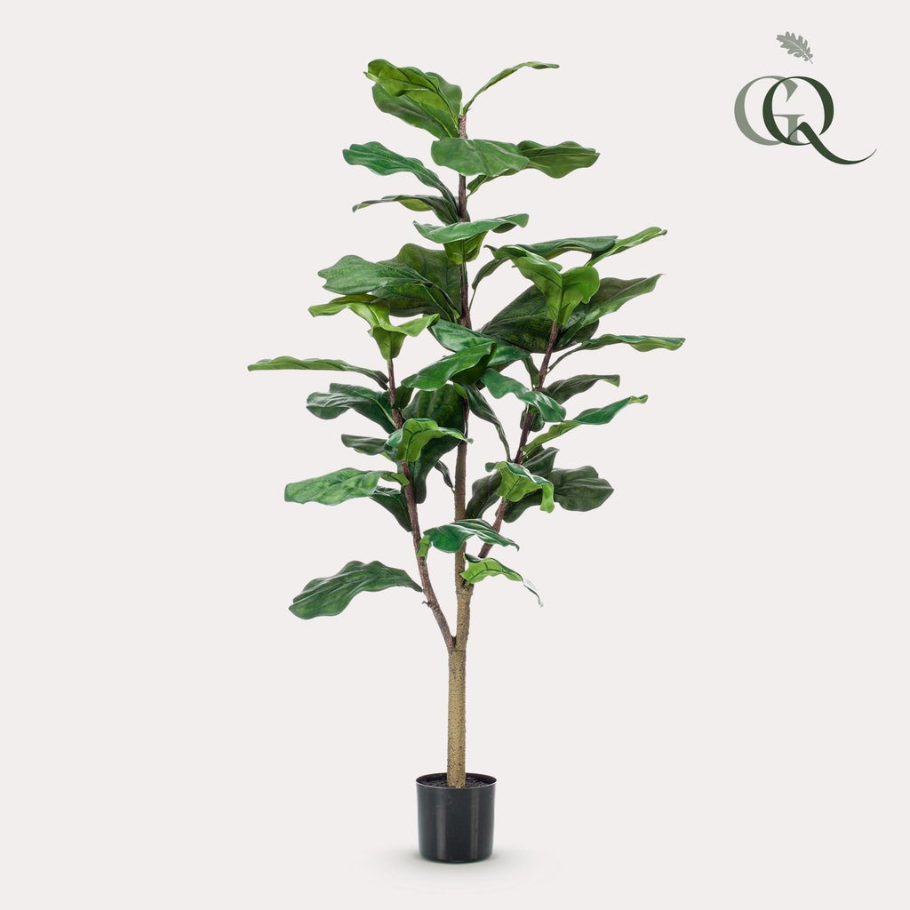 Artificial Ficus Lyrata (Fiddle Leaf Fig) - 120cm