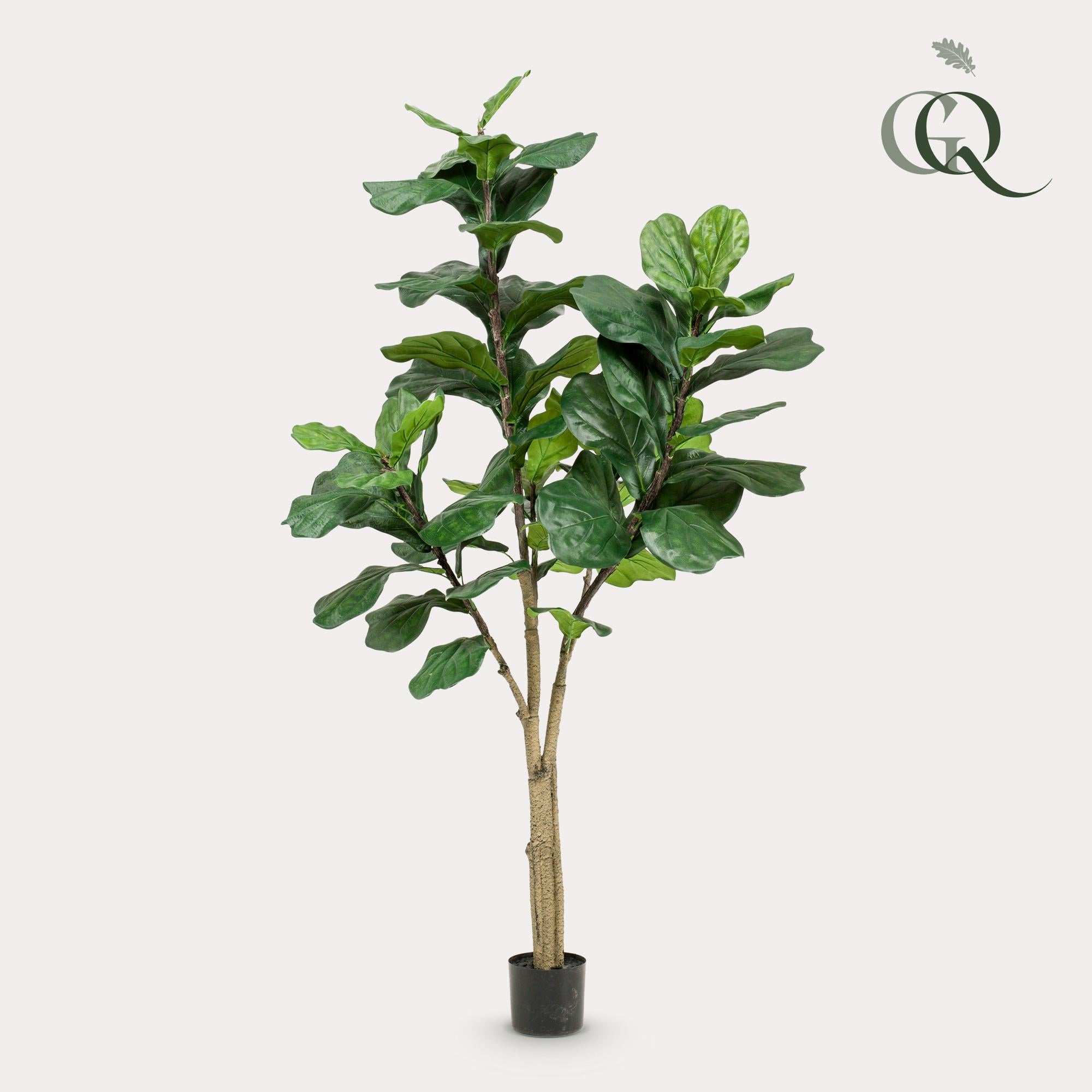 Artificial Ficus Lyrata (Tobacco Plant) - 180cm