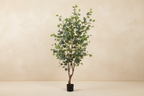 Artificial Eucalyptus Tree (Blue Gum)  - 140cm