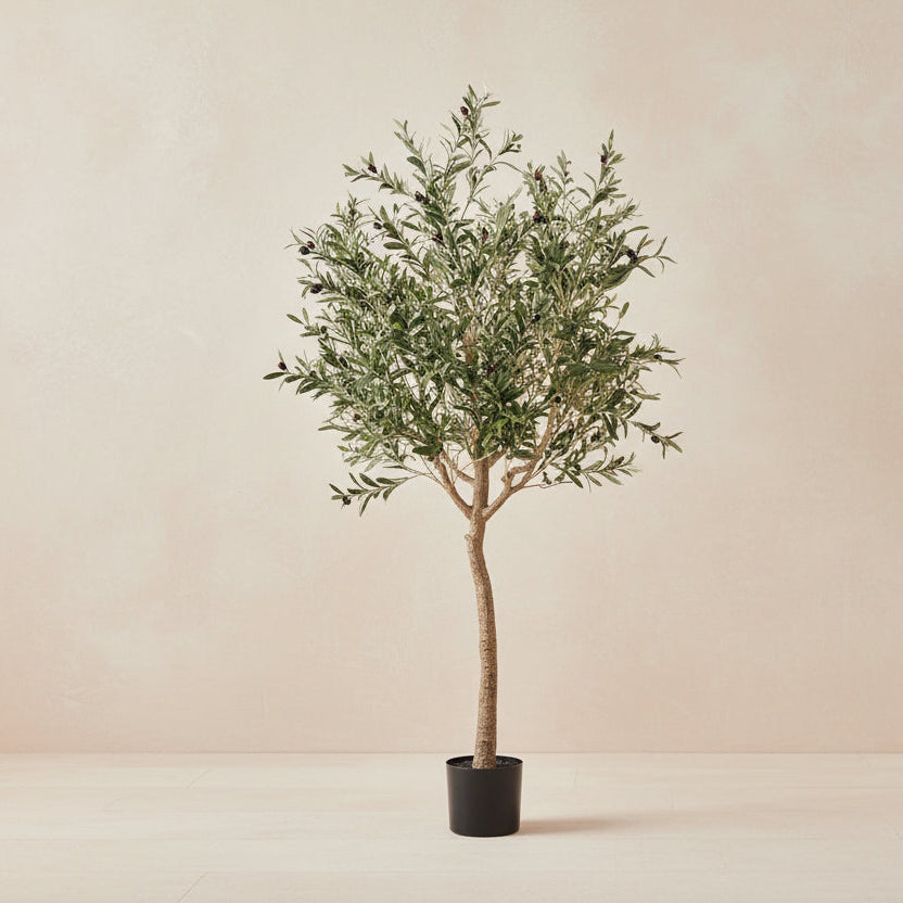 Artificial Olive Tree (Olea Europaea) - 180cm