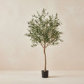 Artificial Olive Tree (Olea Europaea) - 180cm