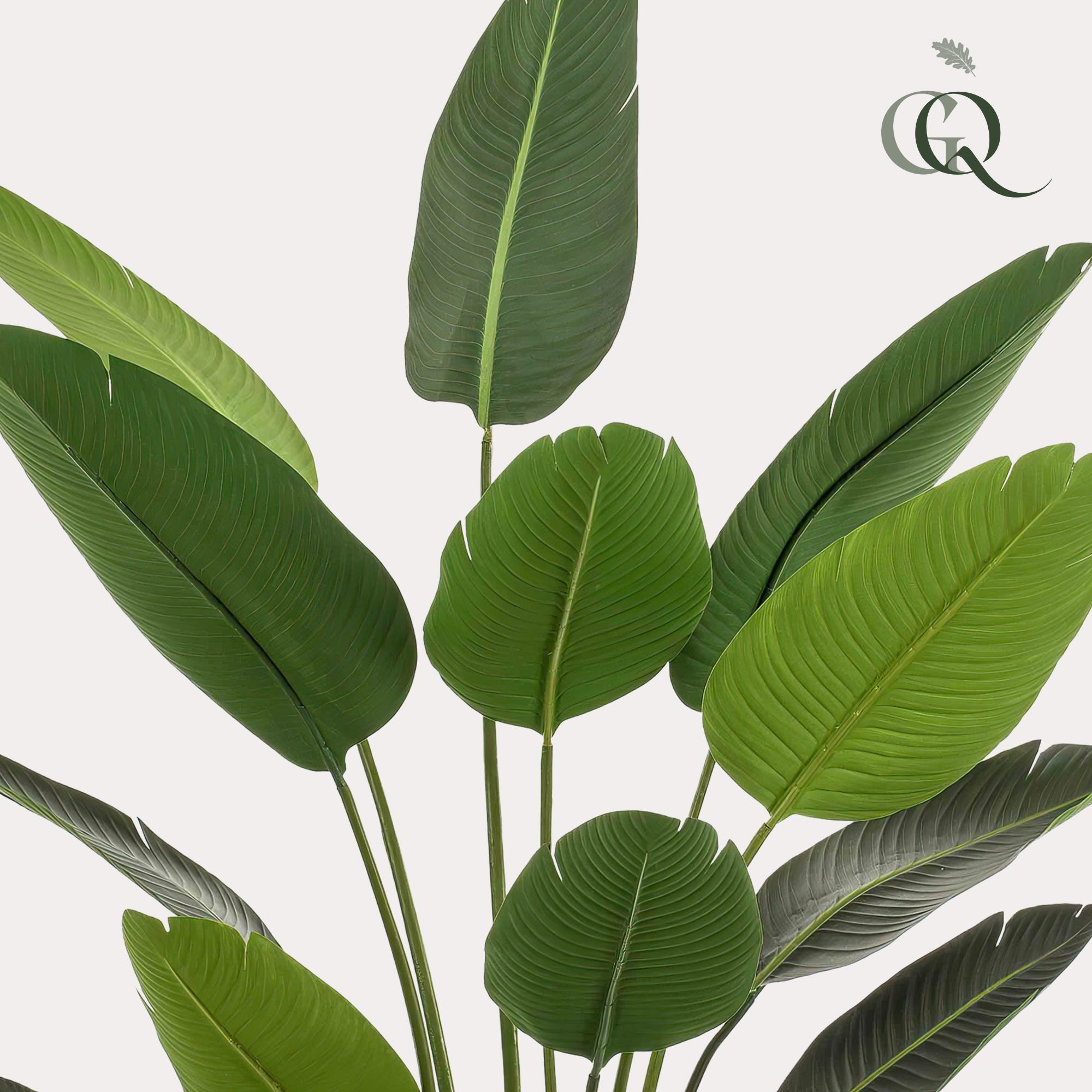 Artificial Strelitzia Nicolai (Bird of Paradise) - 190cm